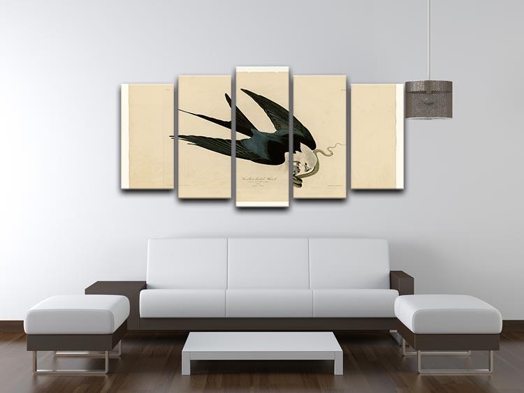 Swallow tailed Hawk by Audubon 5 Split Panel Canvas - Canvas Art Rocks - 3