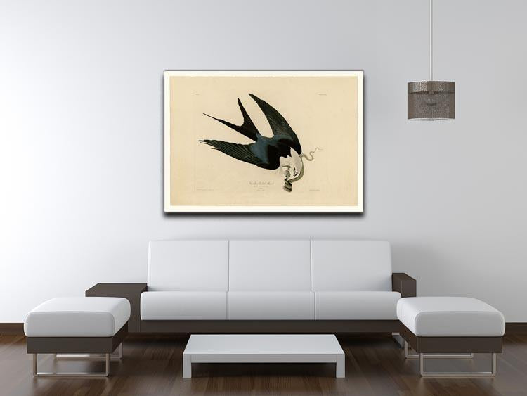 Swallow tailed Hawk by Audubon Canvas Print or Poster - Canvas Art Rocks - 4