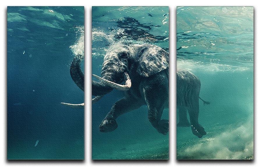 Swimming Elephant Underwater 3 Split Panel Canvas Print - Canvas Art Rocks - 1