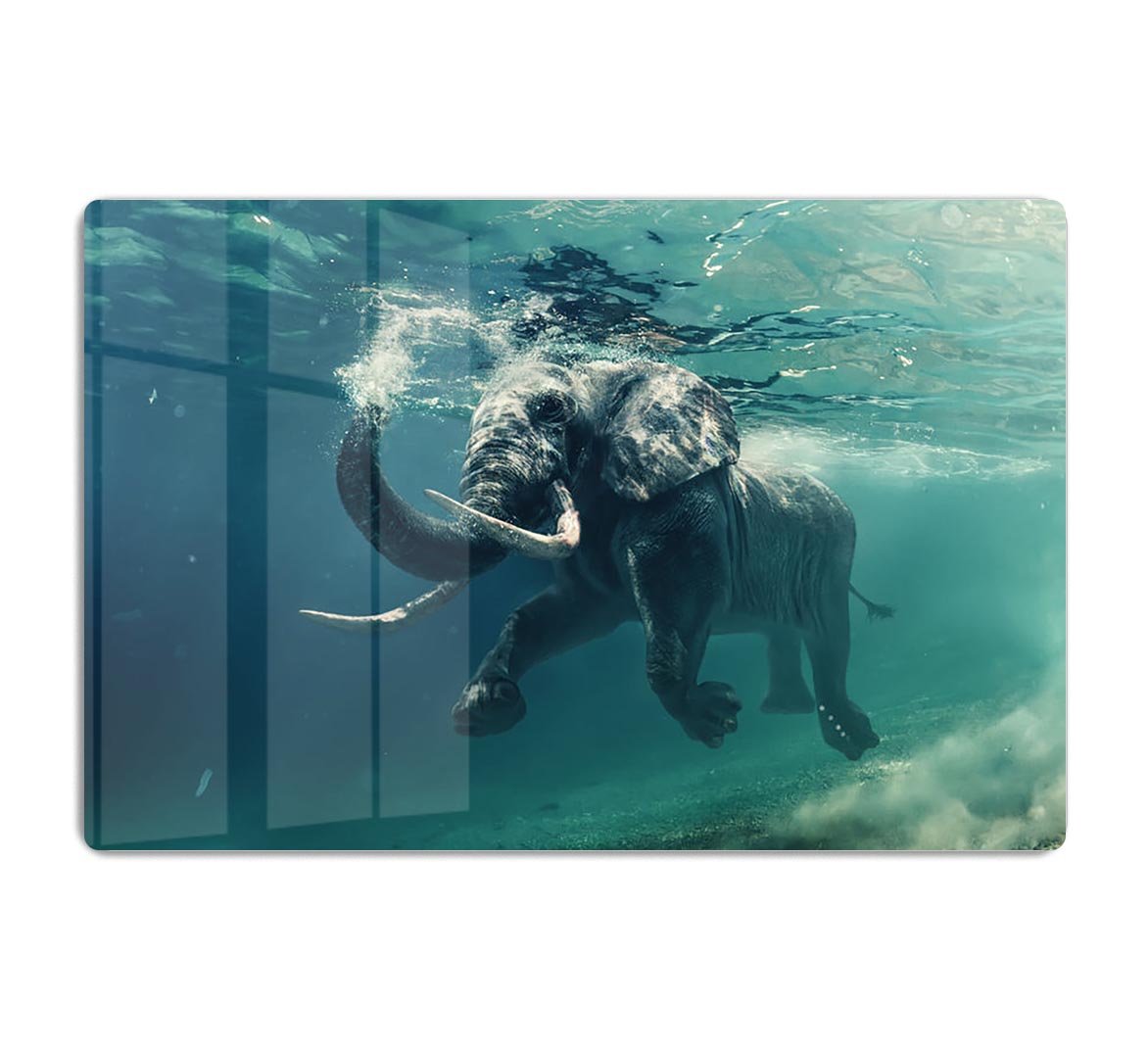 Swimming Elephant Underwater HD Metal Print - Canvas Art Rocks - 1