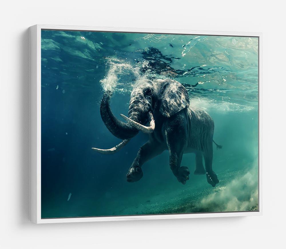 Swimming Elephant Underwater HD Metal Print - Canvas Art Rocks - 7