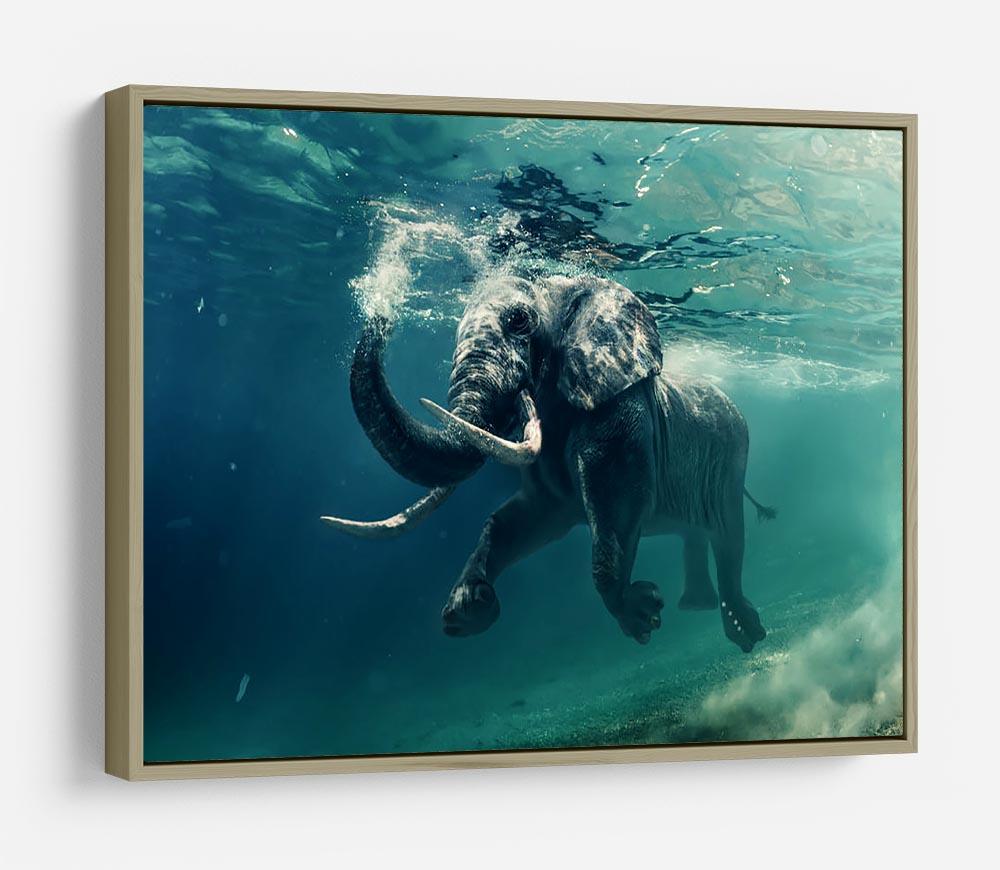 Swimming Elephant Underwater HD Metal Print - Canvas Art Rocks - 8