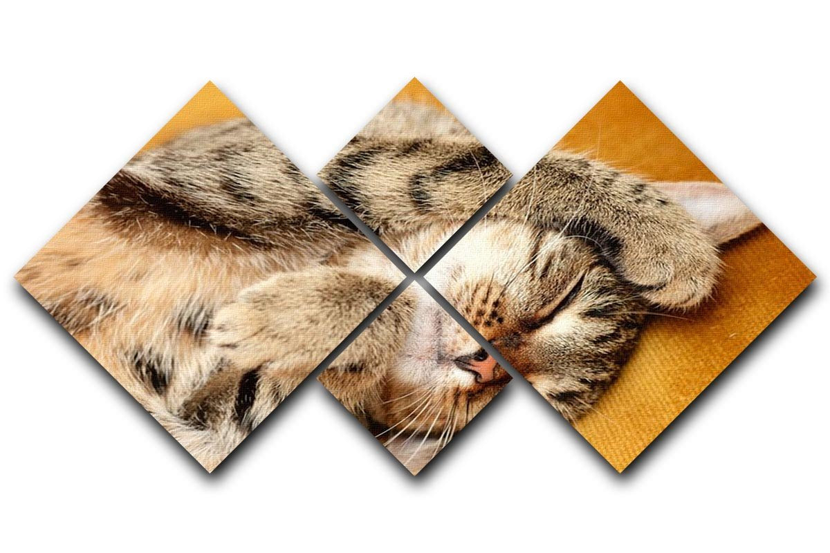 Tabby sweet sleeping on the bed 4 Square Multi Panel Canvas - Canvas Art Rocks - 1