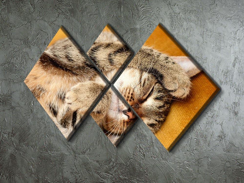 Tabby sweet sleeping on the bed 4 Square Multi Panel Canvas - Canvas Art Rocks - 2