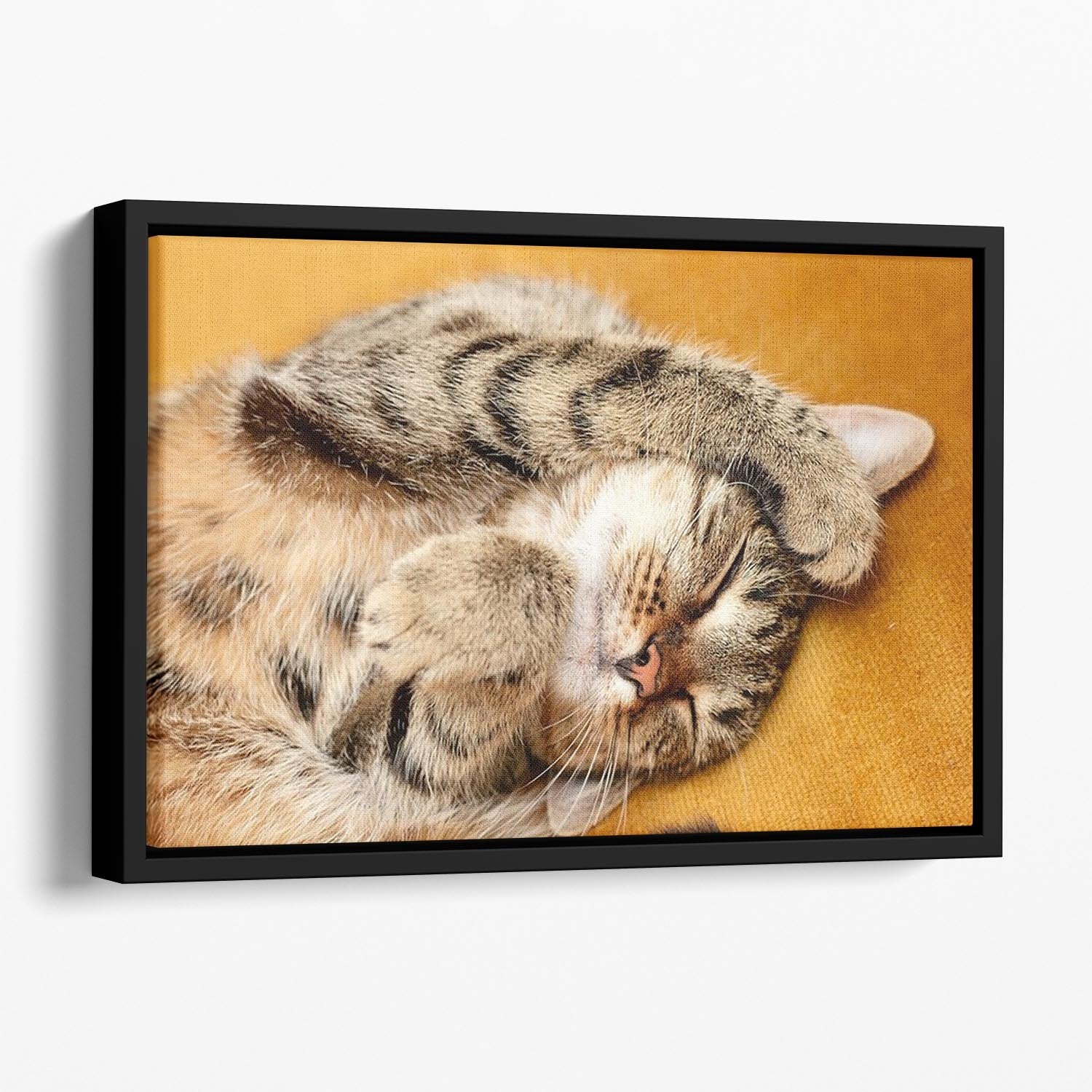 Tabby sweet sleeping on the bed Floating Framed Canvas - Canvas Art Rocks - 1