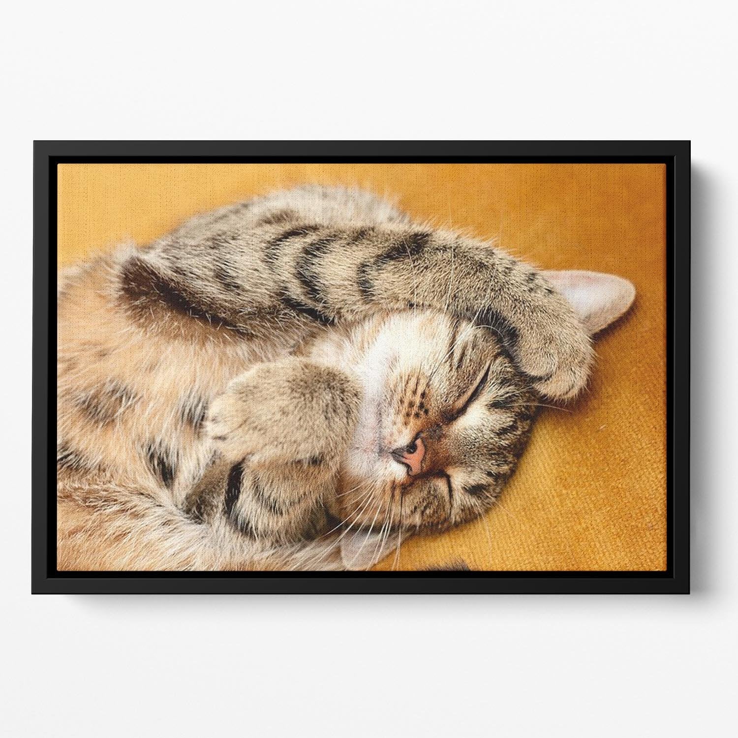 Tabby sweet sleeping on the bed Floating Framed Canvas - Canvas Art Rocks - 2