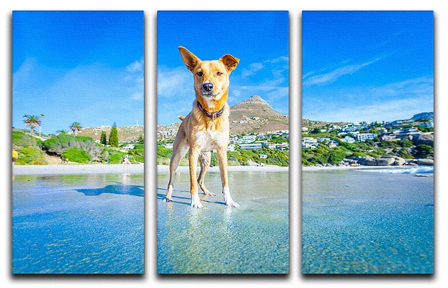 Terrier dog having fun 3 Split Panel Canvas Print - Canvas Art Rocks - 1