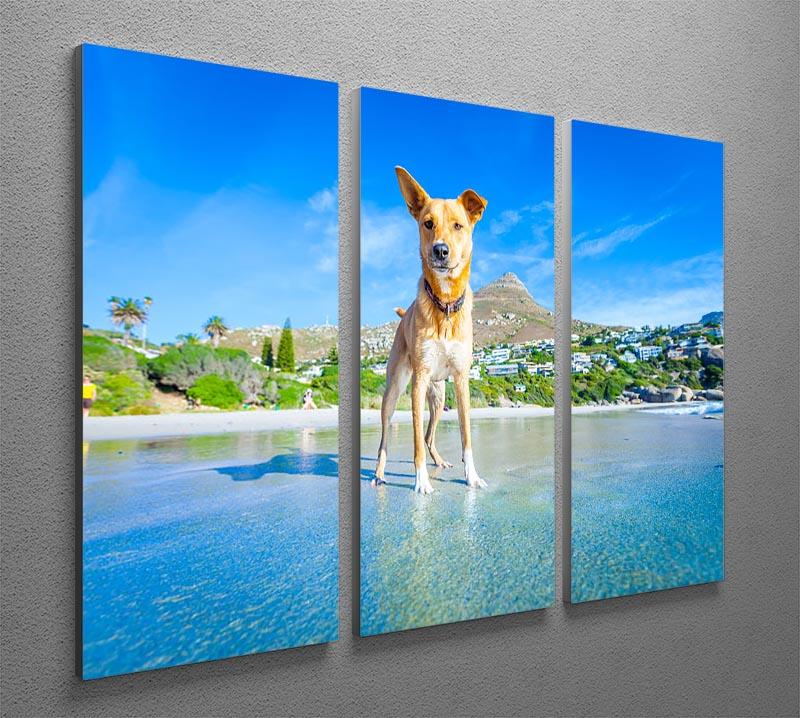 Terrier dog having fun 3 Split Panel Canvas Print - Canvas Art Rocks - 2