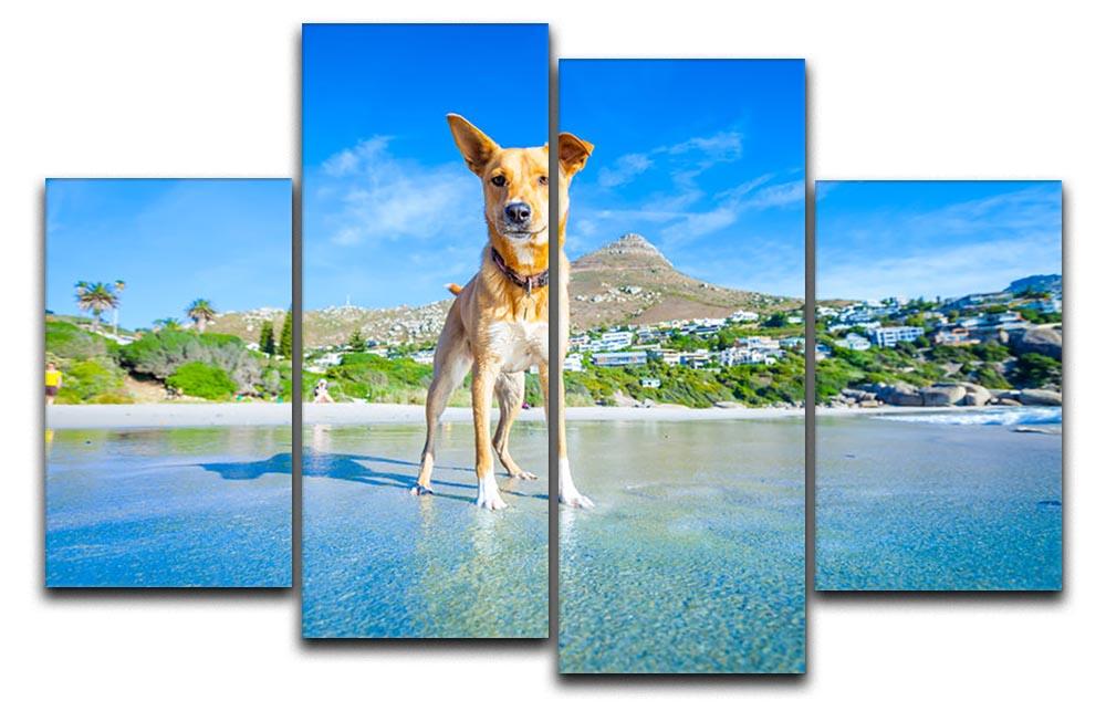 Terrier dog having fun 4 Split Panel Canvas - Canvas Art Rocks - 1