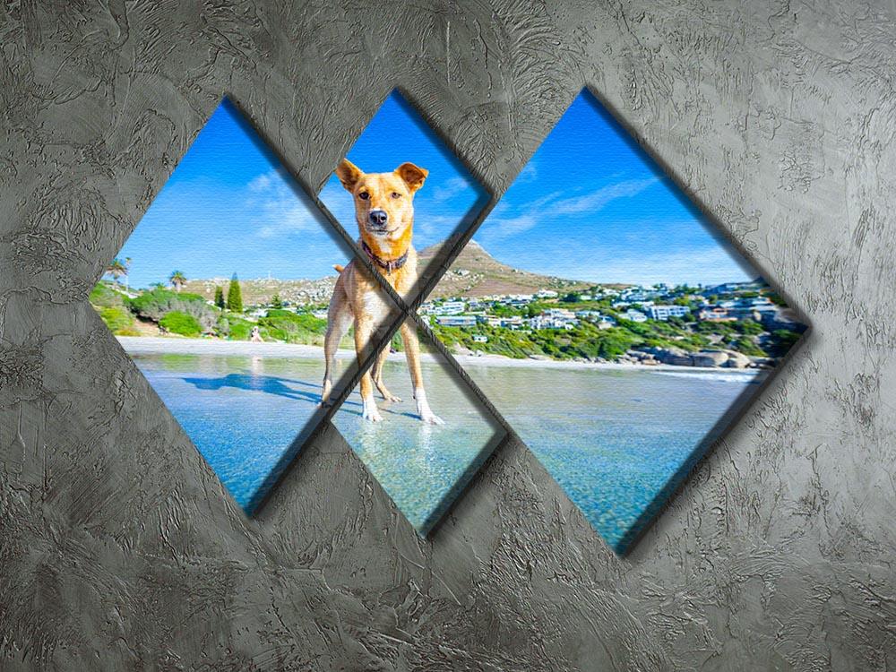 Terrier dog having fun 4 Square Multi Panel Canvas - Canvas Art Rocks - 2