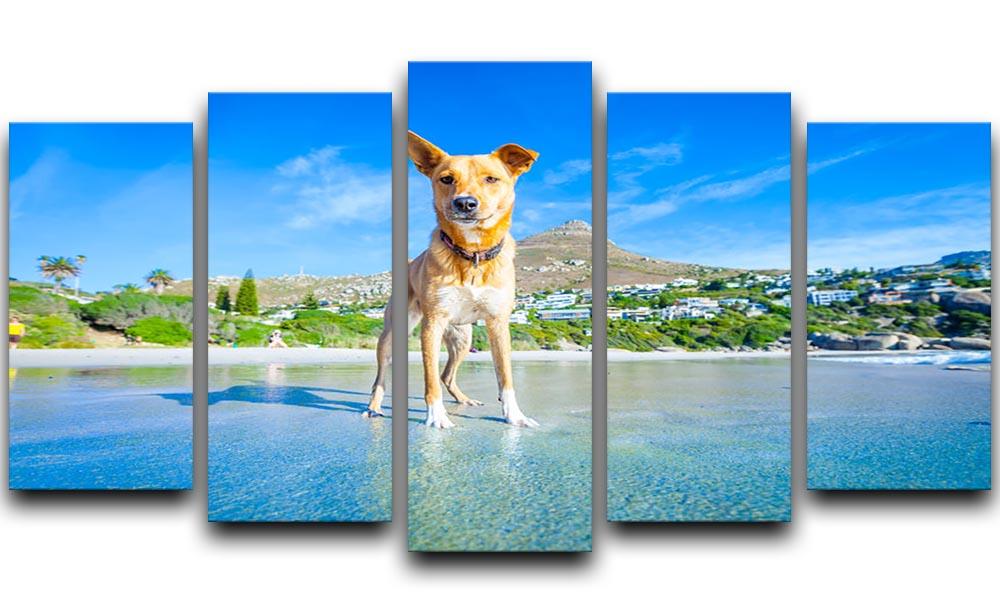 Terrier dog having fun 5 Split Panel Canvas - Canvas Art Rocks - 1