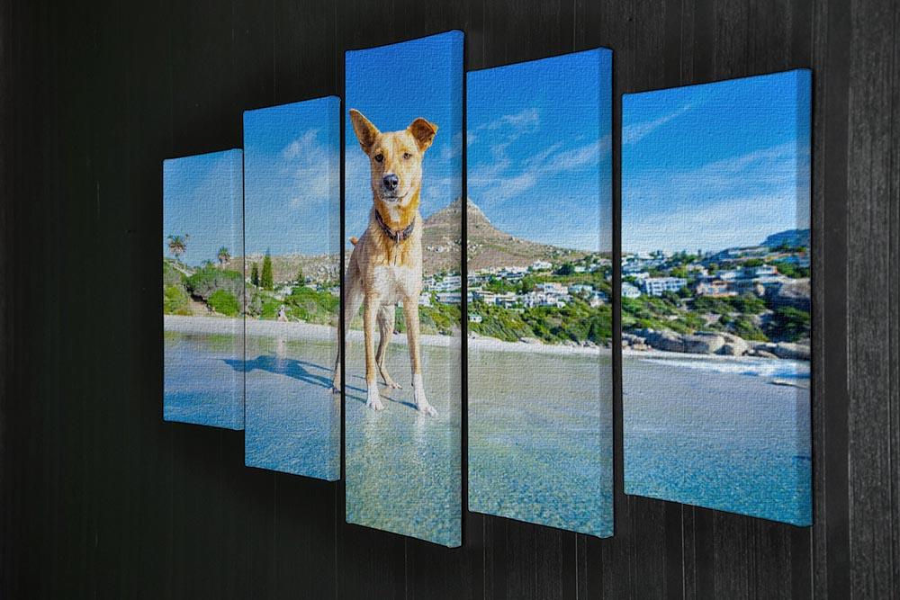 Terrier dog having fun 5 Split Panel Canvas - Canvas Art Rocks - 2