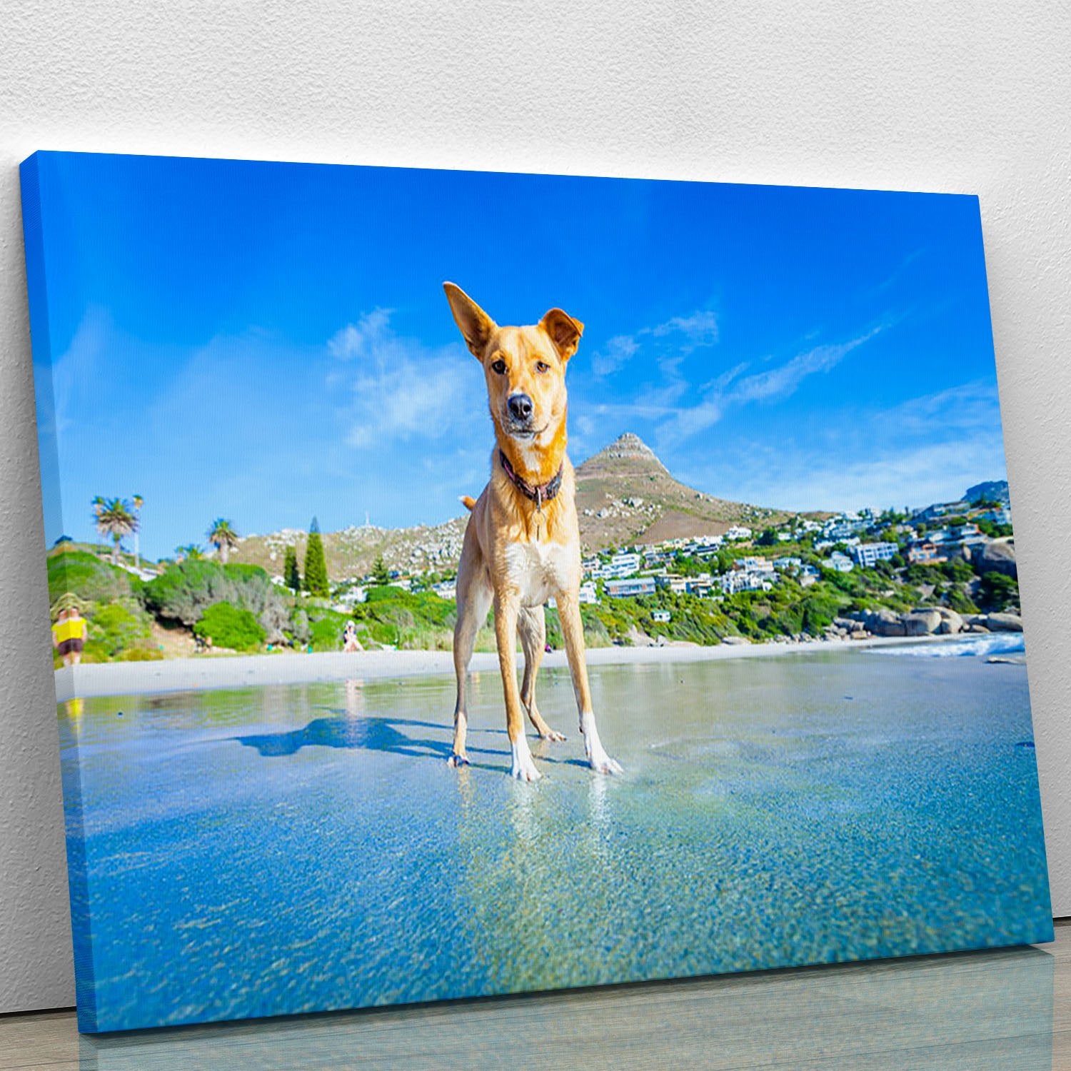 Terrier dog having fun Canvas Print or Poster