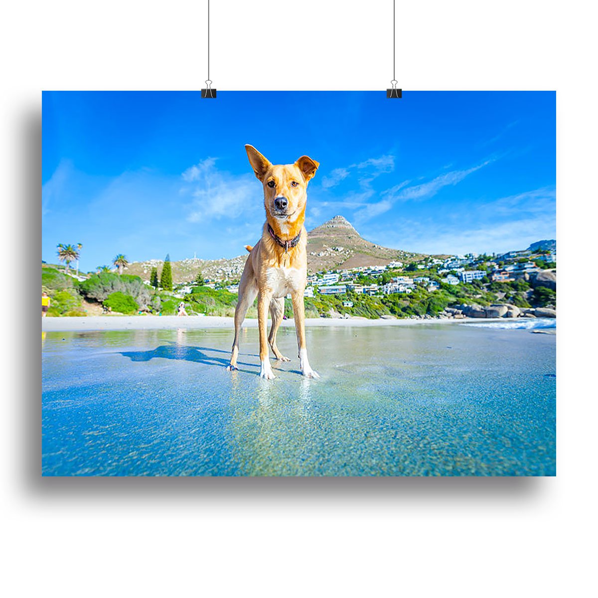 Terrier dog having fun Canvas Print or Poster