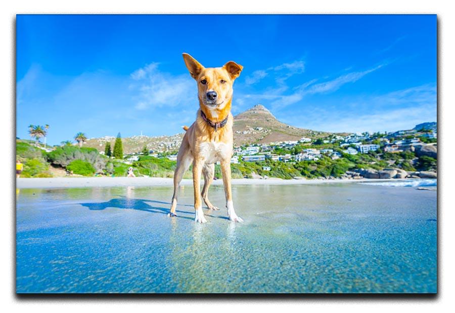 Terrier dog having fun Canvas Print or Poster - Canvas Art Rocks - 1