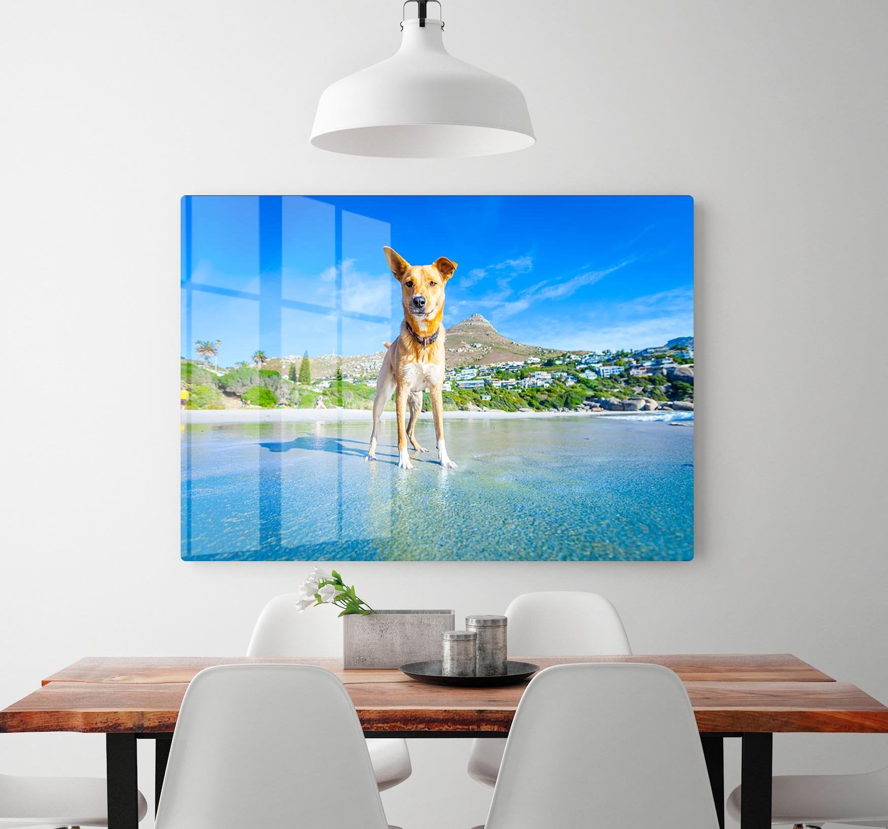Terrier dog having fun HD Metal Print - Canvas Art Rocks - 2
