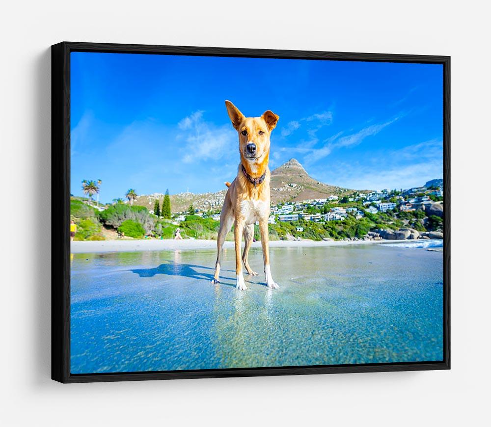 Terrier dog having fun HD Metal Print - Canvas Art Rocks - 6