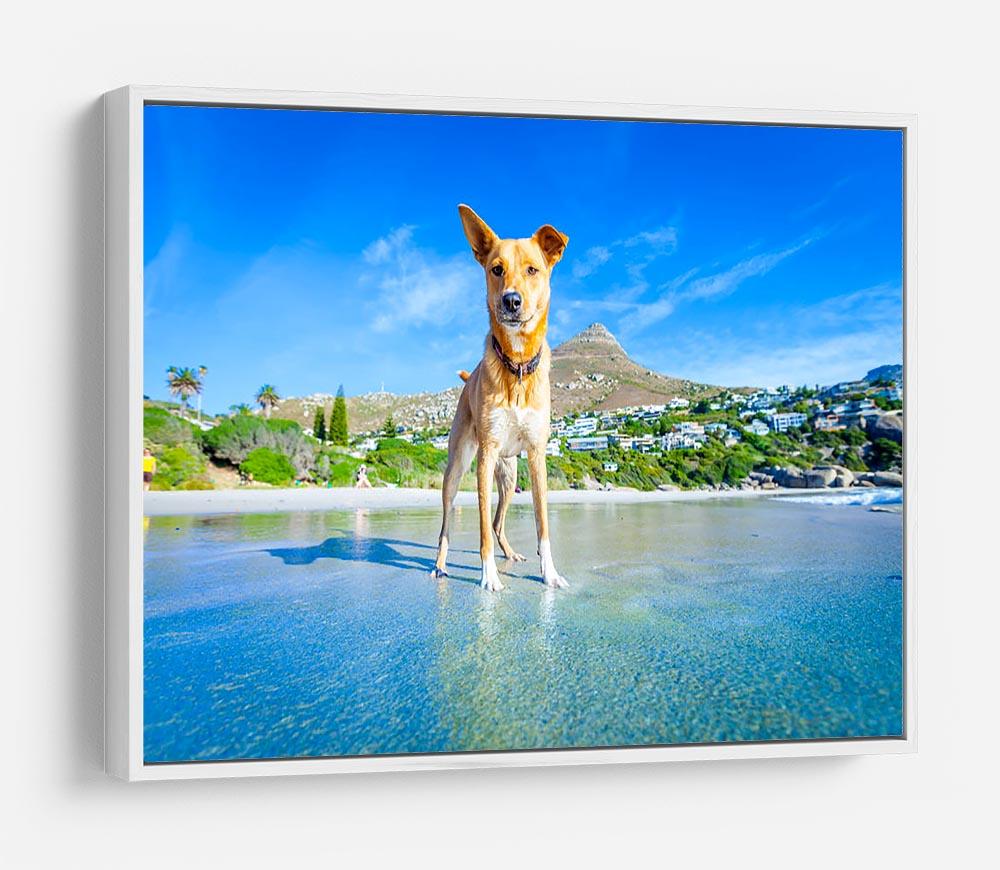Terrier dog having fun HD Metal Print - Canvas Art Rocks - 7