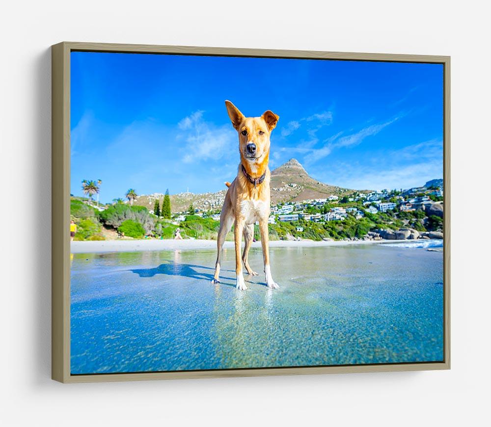 Terrier dog having fun HD Metal Print - Canvas Art Rocks - 8