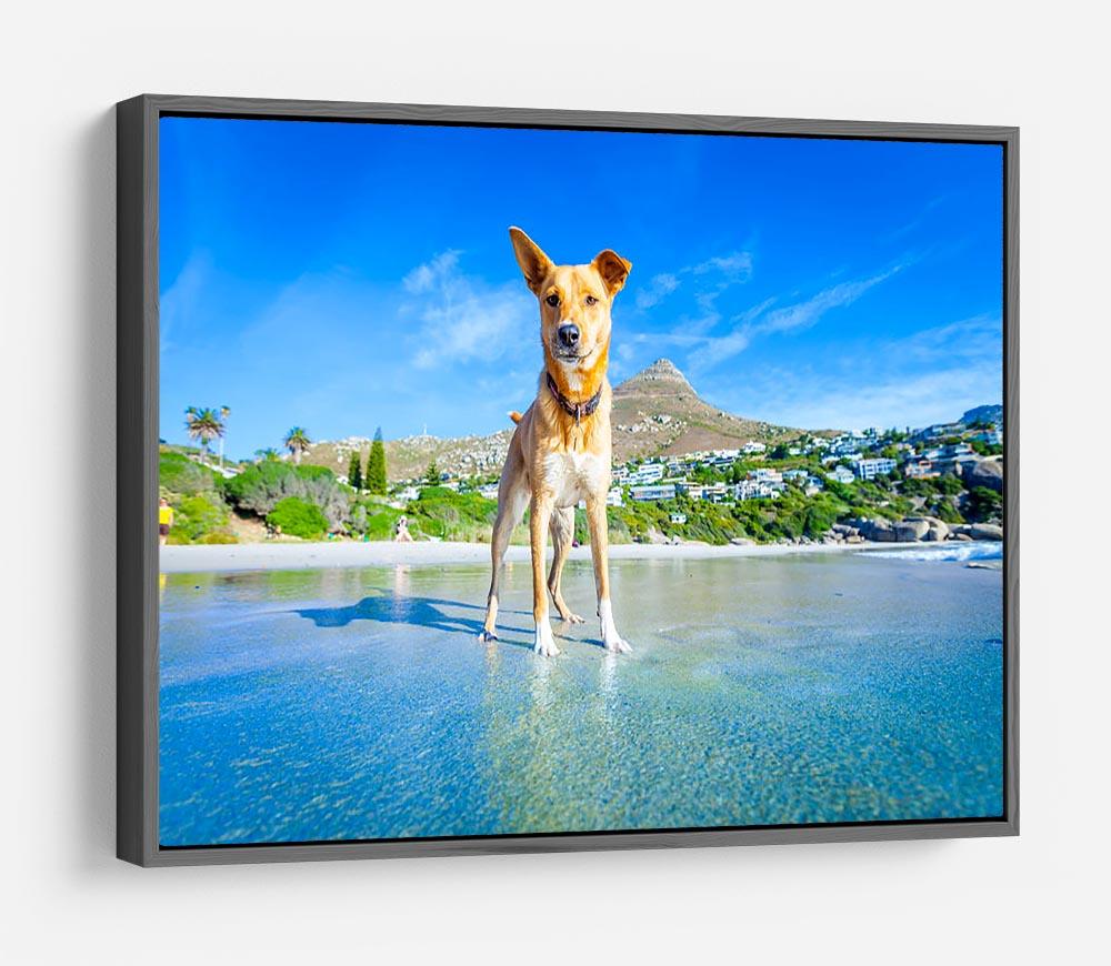 Terrier dog having fun HD Metal Print - Canvas Art Rocks - 9