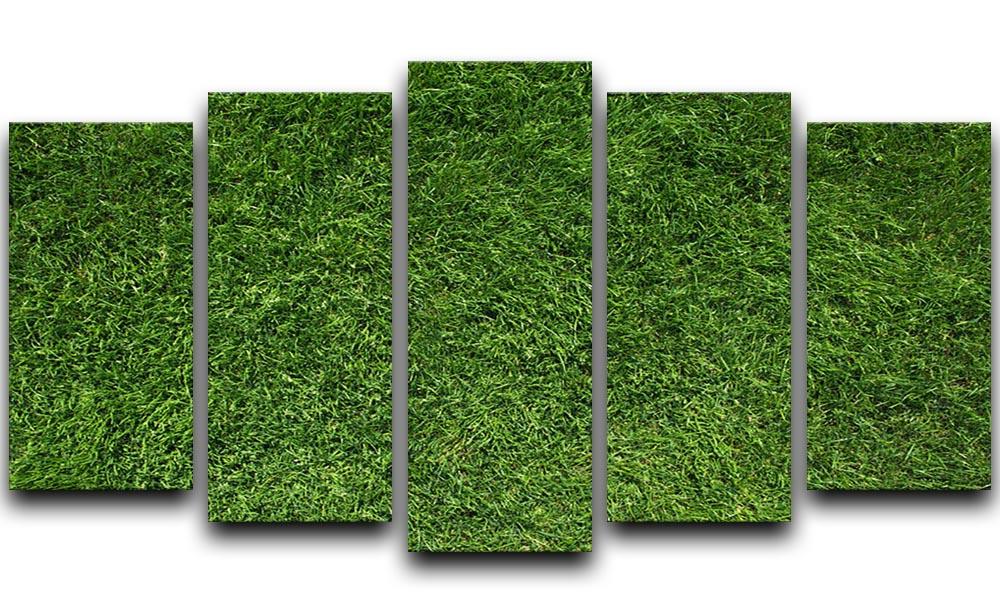 Texture of green grass 5 Split Panel Canvas - Canvas Art Rocks - 1