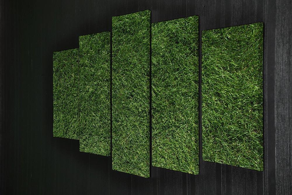 Texture of green grass 5 Split Panel Canvas - Canvas Art Rocks - 2