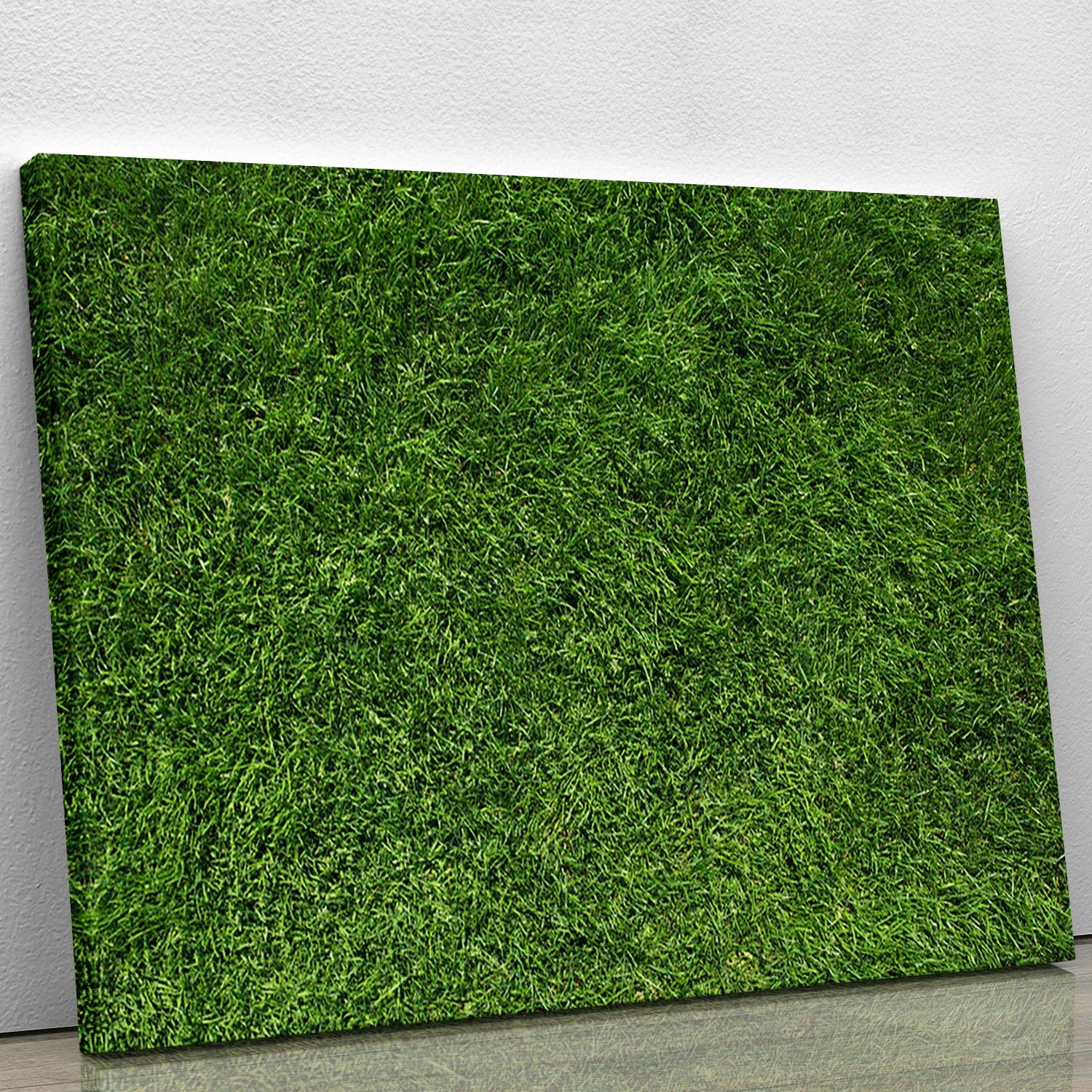Texture of green grass Canvas Print or Poster