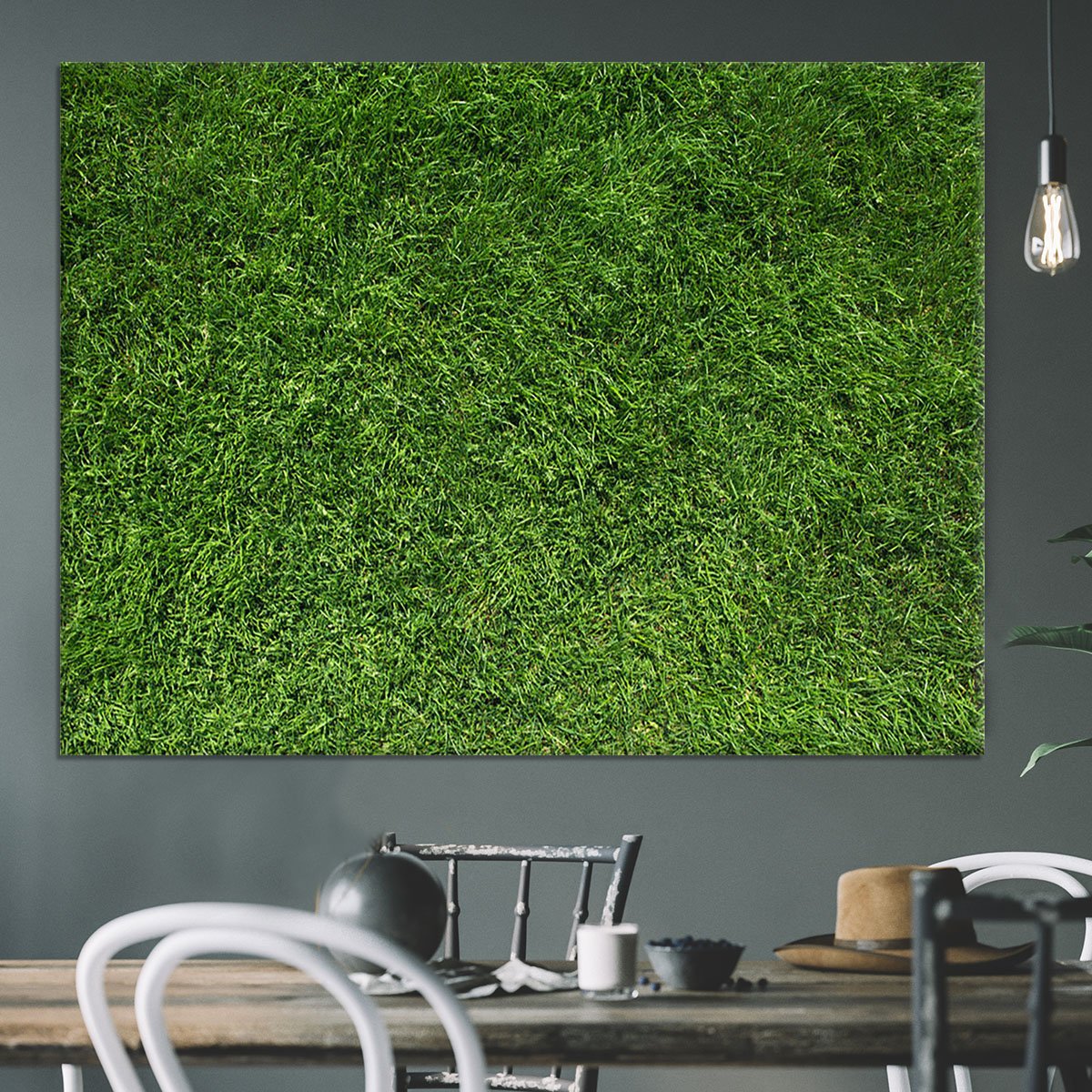 Texture of green grass Canvas Print or Poster