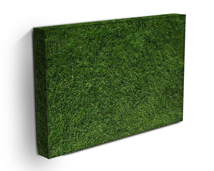 Texture of green grass Canvas Print or Poster - Canvas Art Rocks - 3