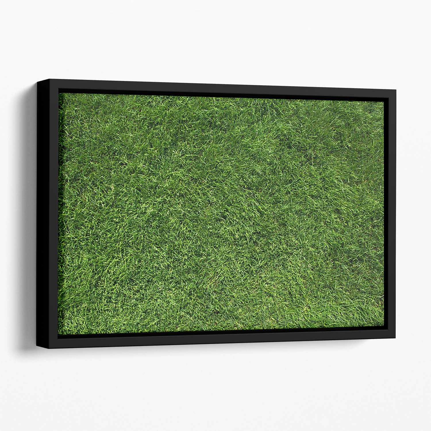 Texture of green grass Floating Framed Canvas
