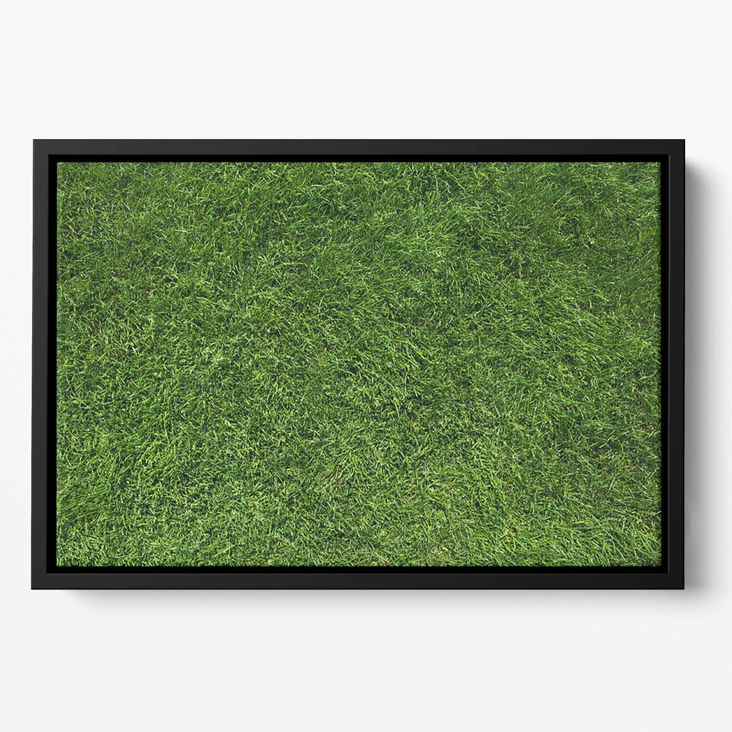 Texture of green grass Floating Framed Canvas