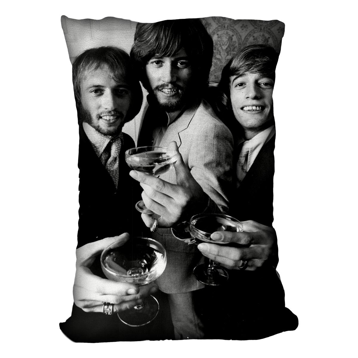 The Bee Gees Cushion