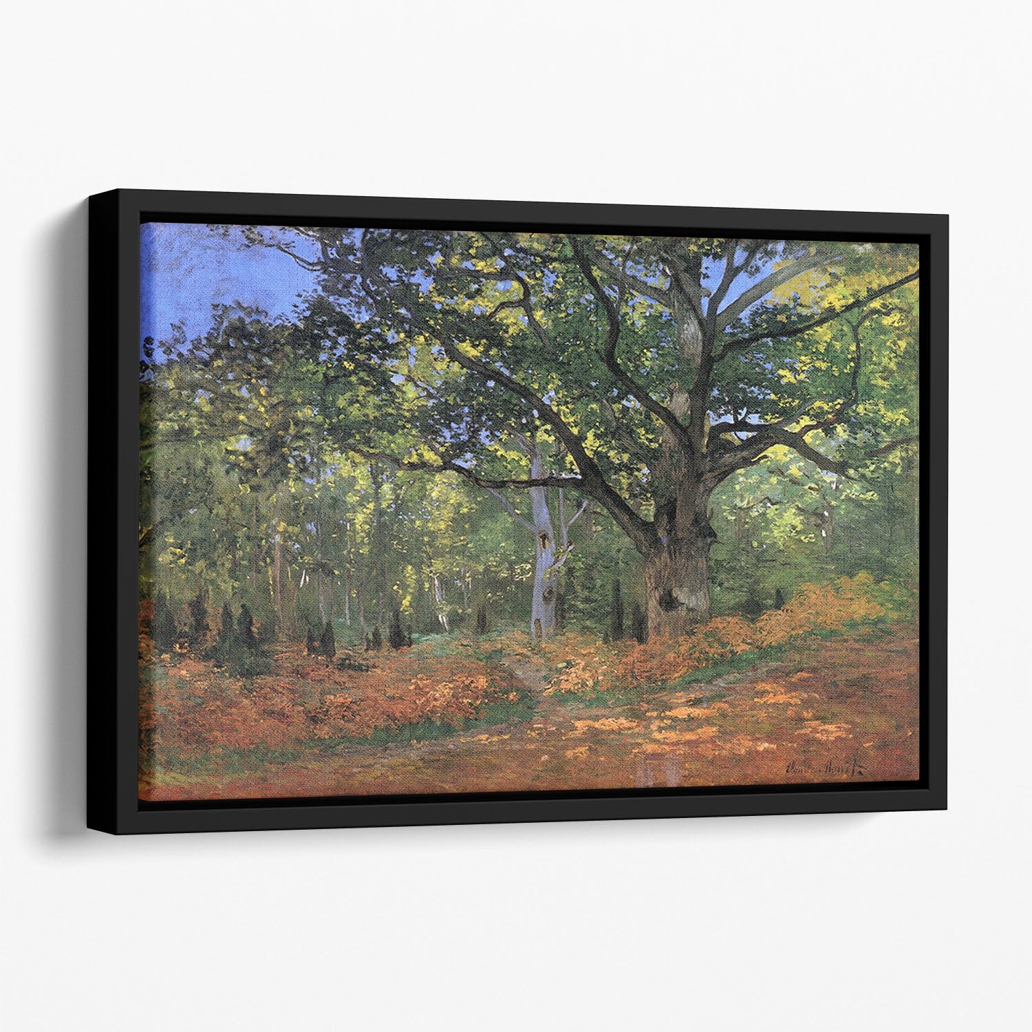 The Bodmer oak Fontainbleau forest by Monet Floating Framed Canvas