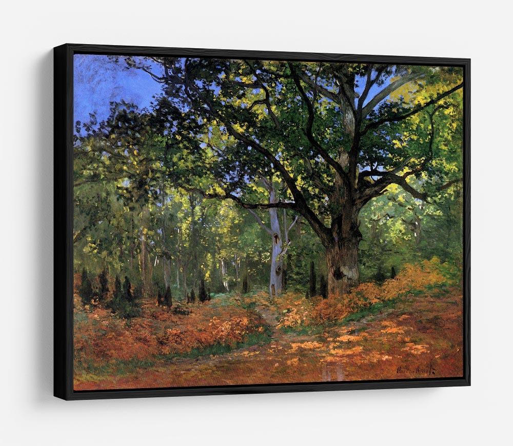 The Bodmer oak Fontainbleau forest by Monet HD Metal Print