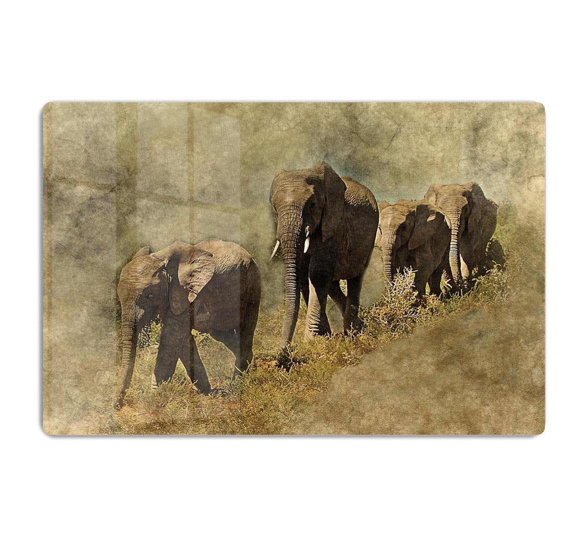 The Elephants March HD Metal Print