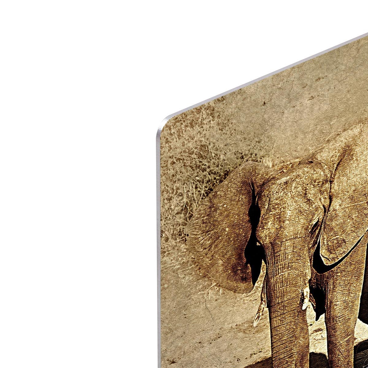 The Elephants March Version 2 HD Metal Print