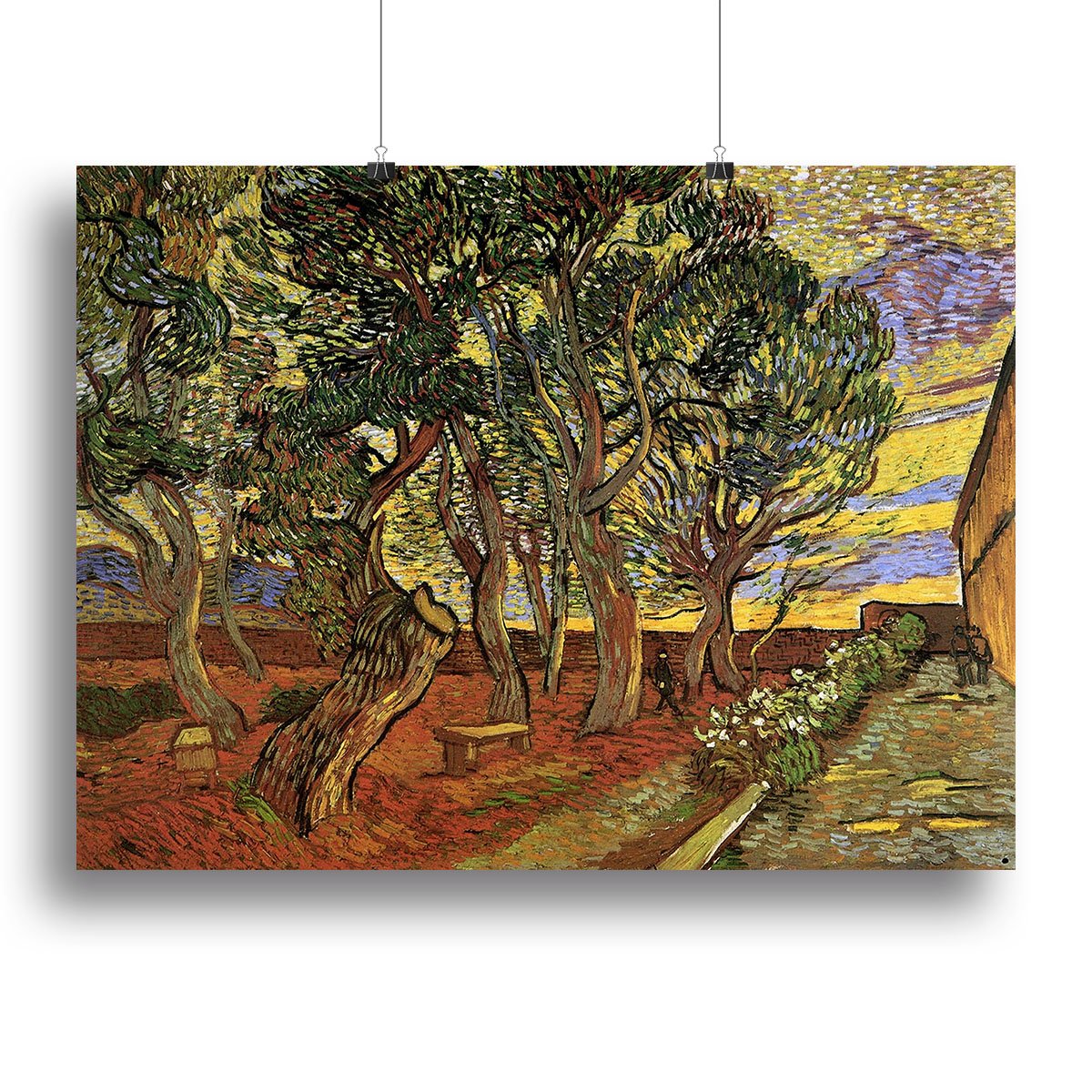 The Garden of Saint-Paul Hospital 4 by Van Gogh Canvas Print or Poster