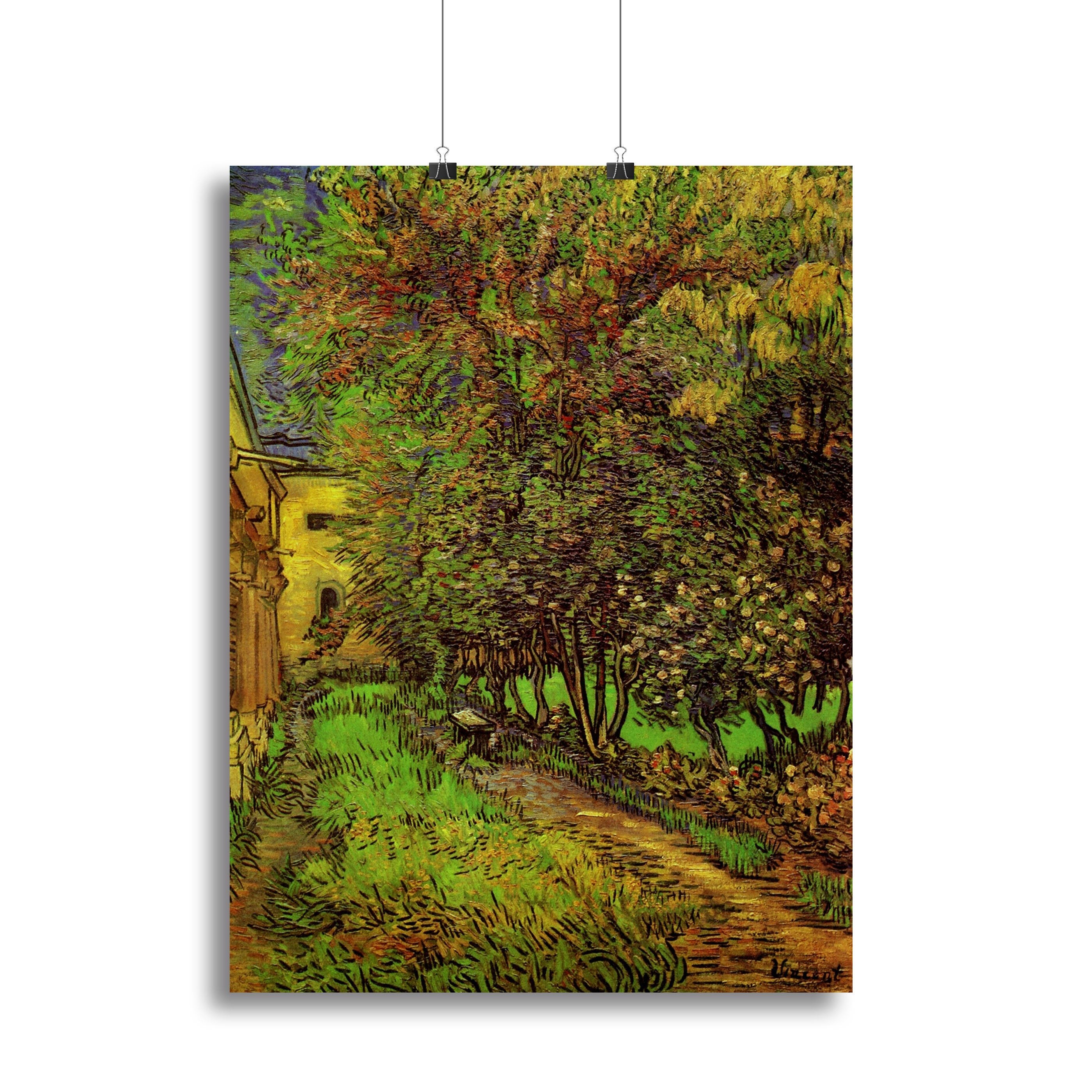 The Garden of Saint-Paul Hospital by Van Gogh Canvas Print or Poster
