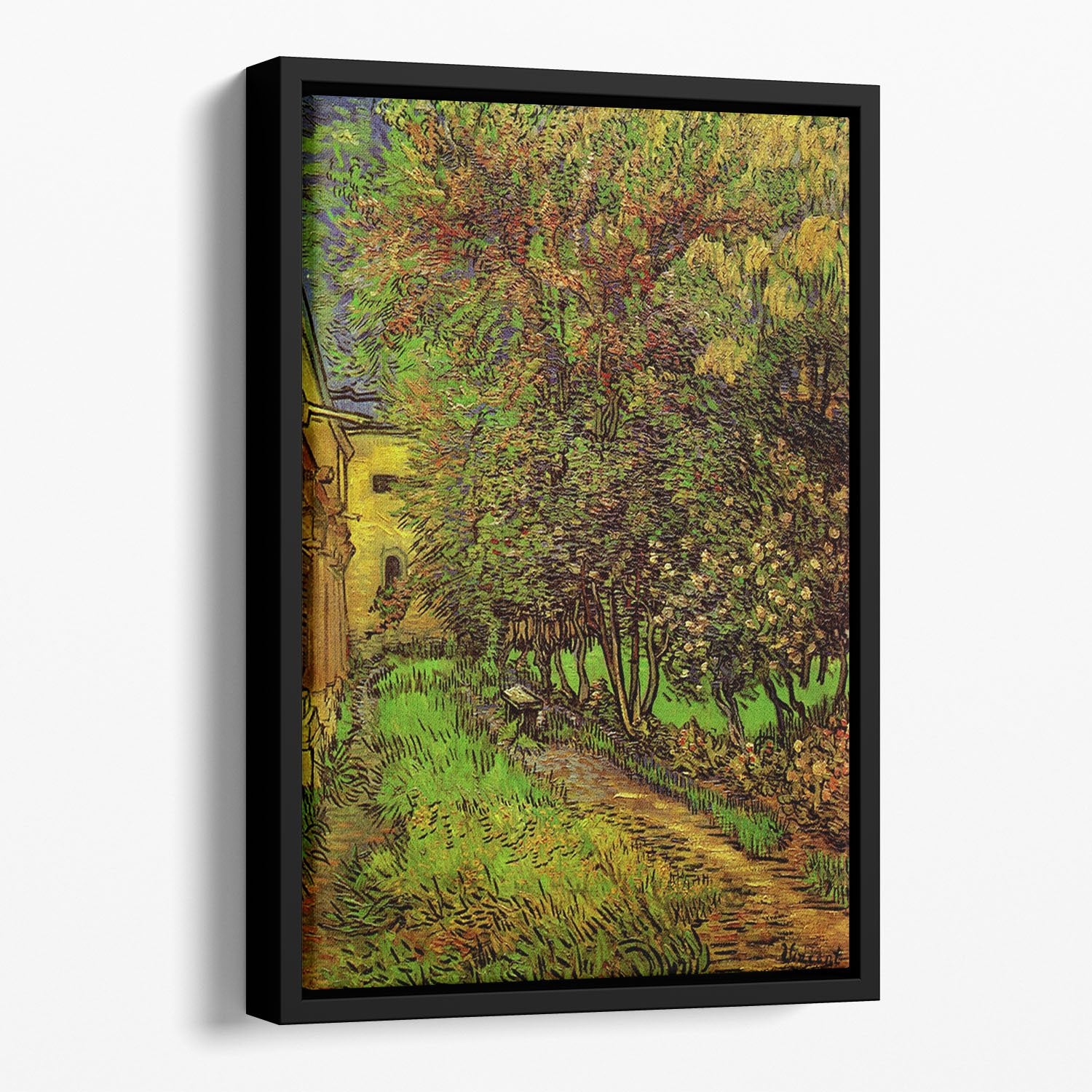 The Garden of Saint-Paul Hospital by Van Gogh Floating Framed Canvas
