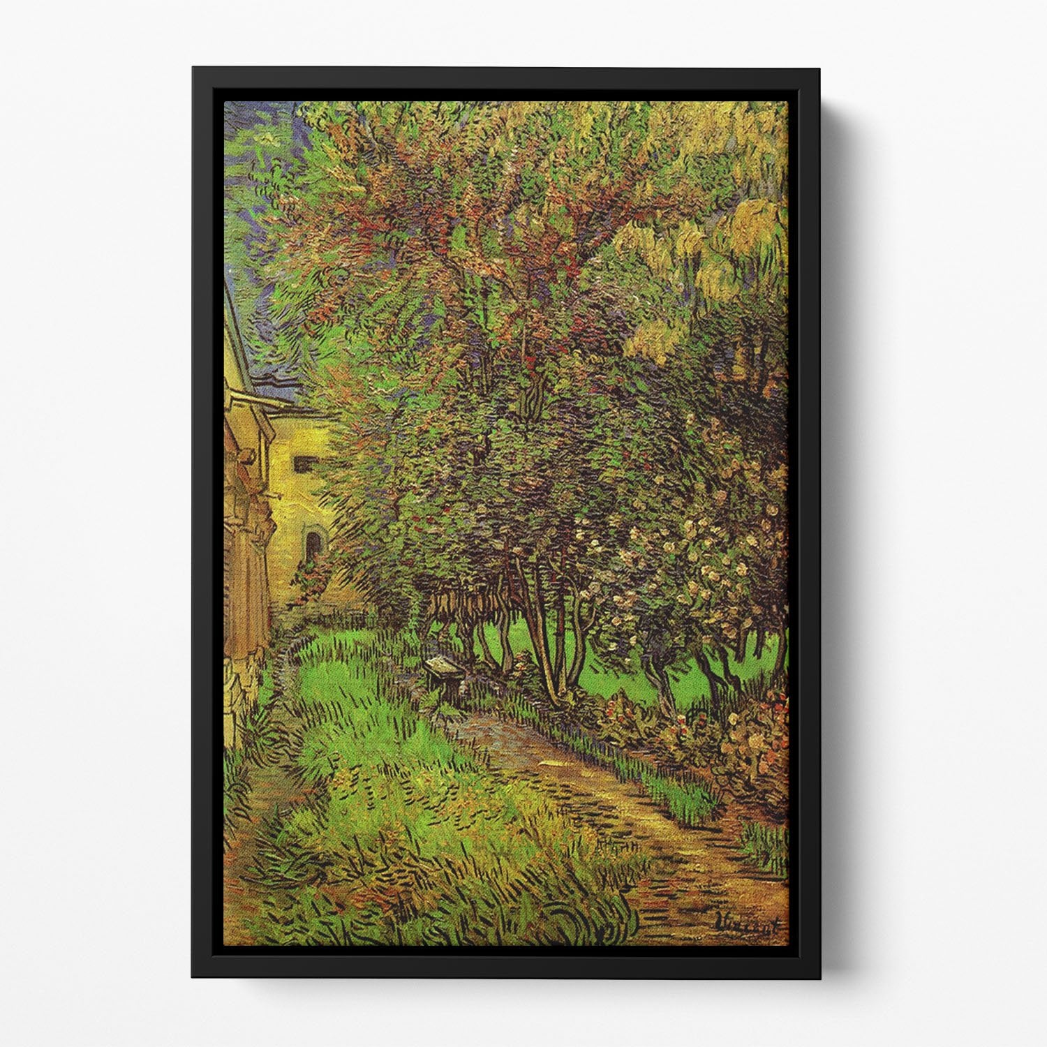 The Garden of Saint-Paul Hospital by Van Gogh Floating Framed Canvas