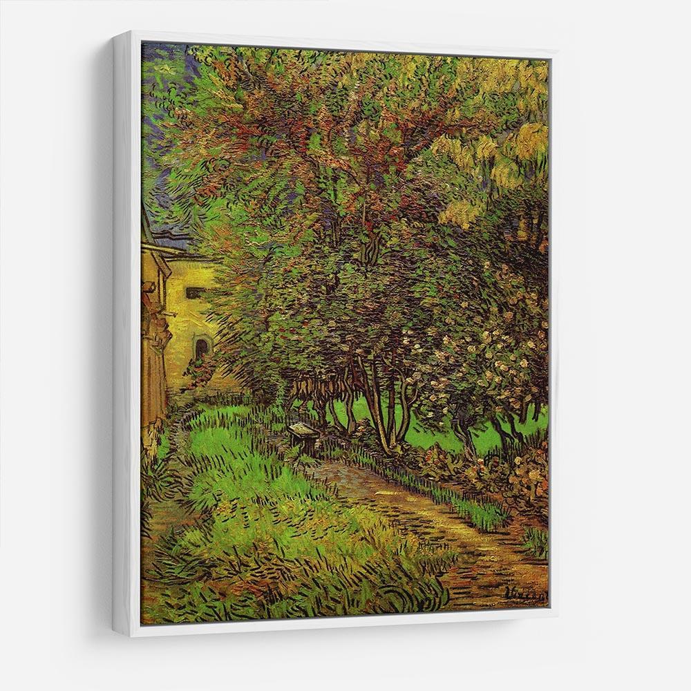 The Garden of Saint-Paul Hospital by Van Gogh HD Metal Print