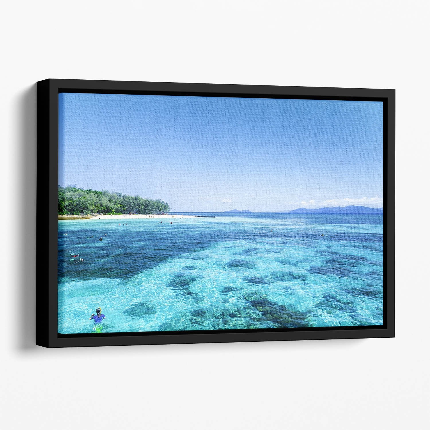 The Great Barrier Reef Floating Framed Canvas