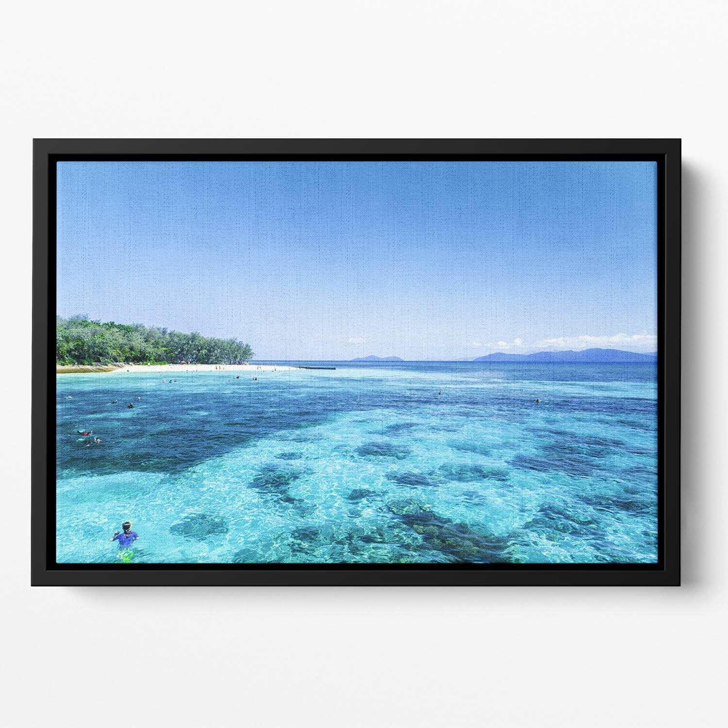 The Great Barrier Reef Floating Framed Canvas