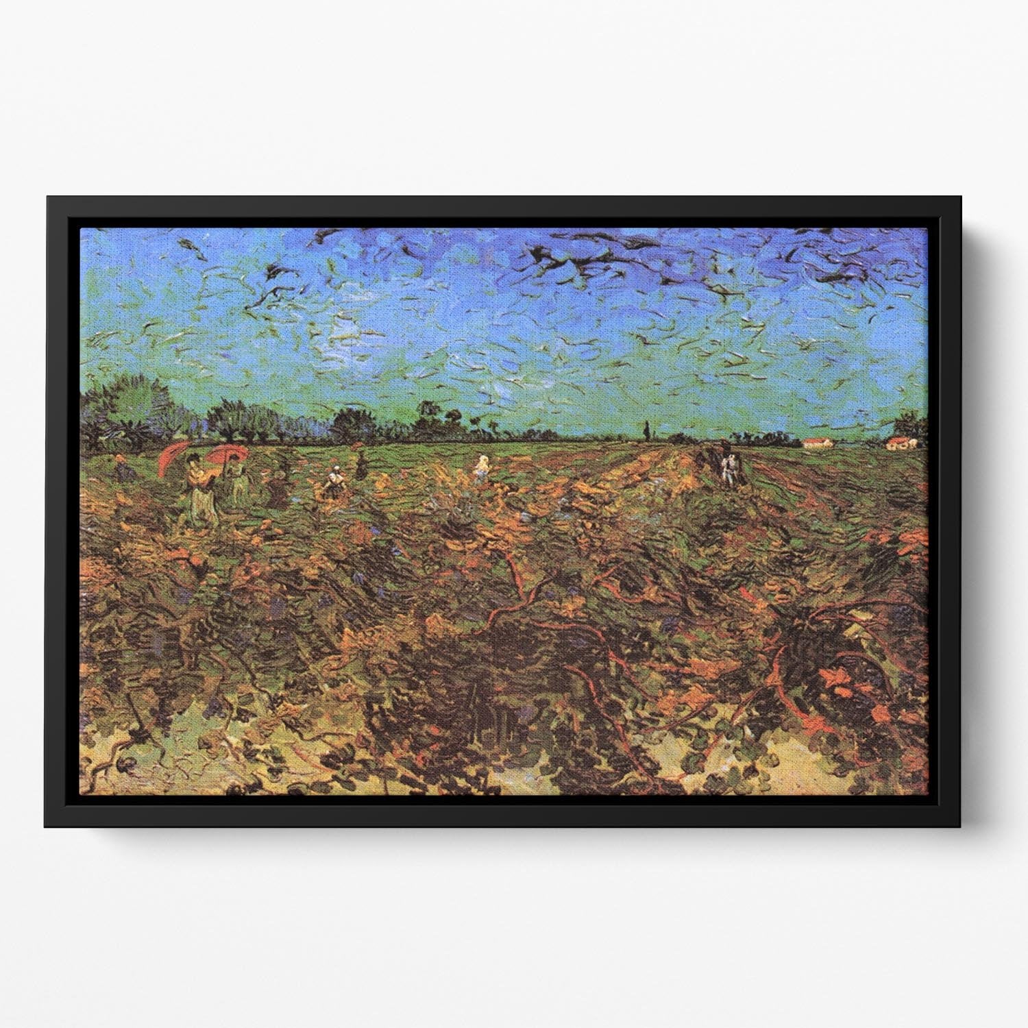 The Green Vineyard by Van Gogh Floating Framed Canvas