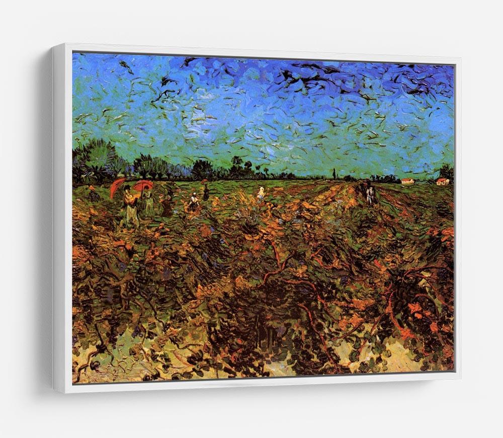 The Green Vineyard by Van Gogh HD Metal Print