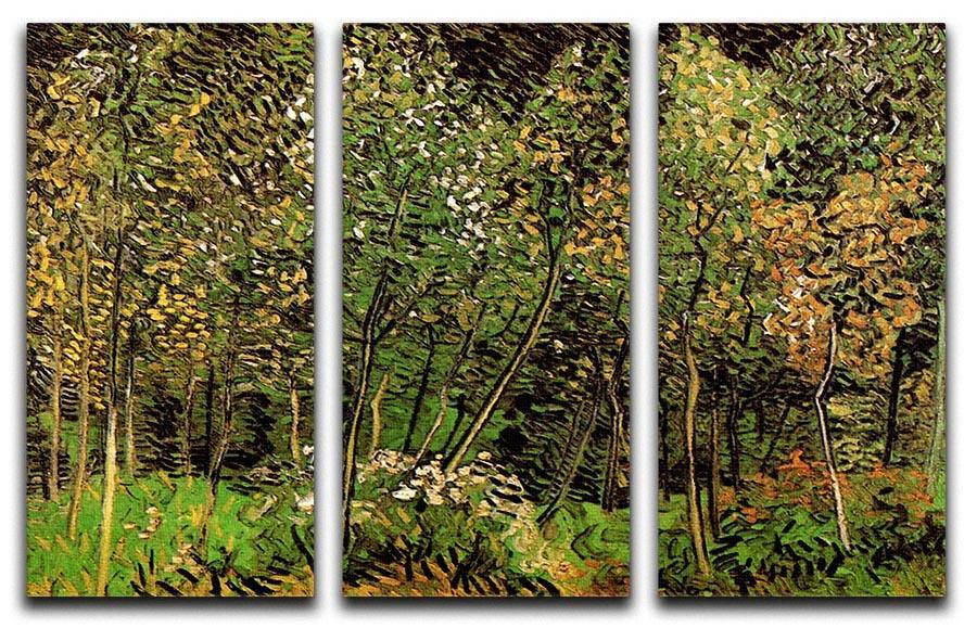 The Grove by Van Gogh 3 Split Panel Canvas Print - Canvas Art Rocks - 4