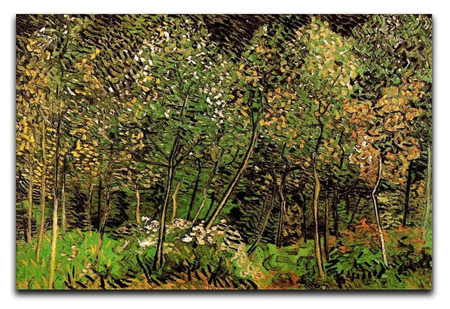 The Grove by Van Gogh Canvas Print & Poster  - Canvas Art Rocks - 1
