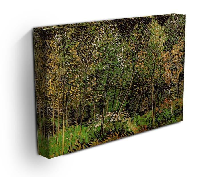 The Grove by Van Gogh Canvas Print & Poster - Canvas Art Rocks - 3