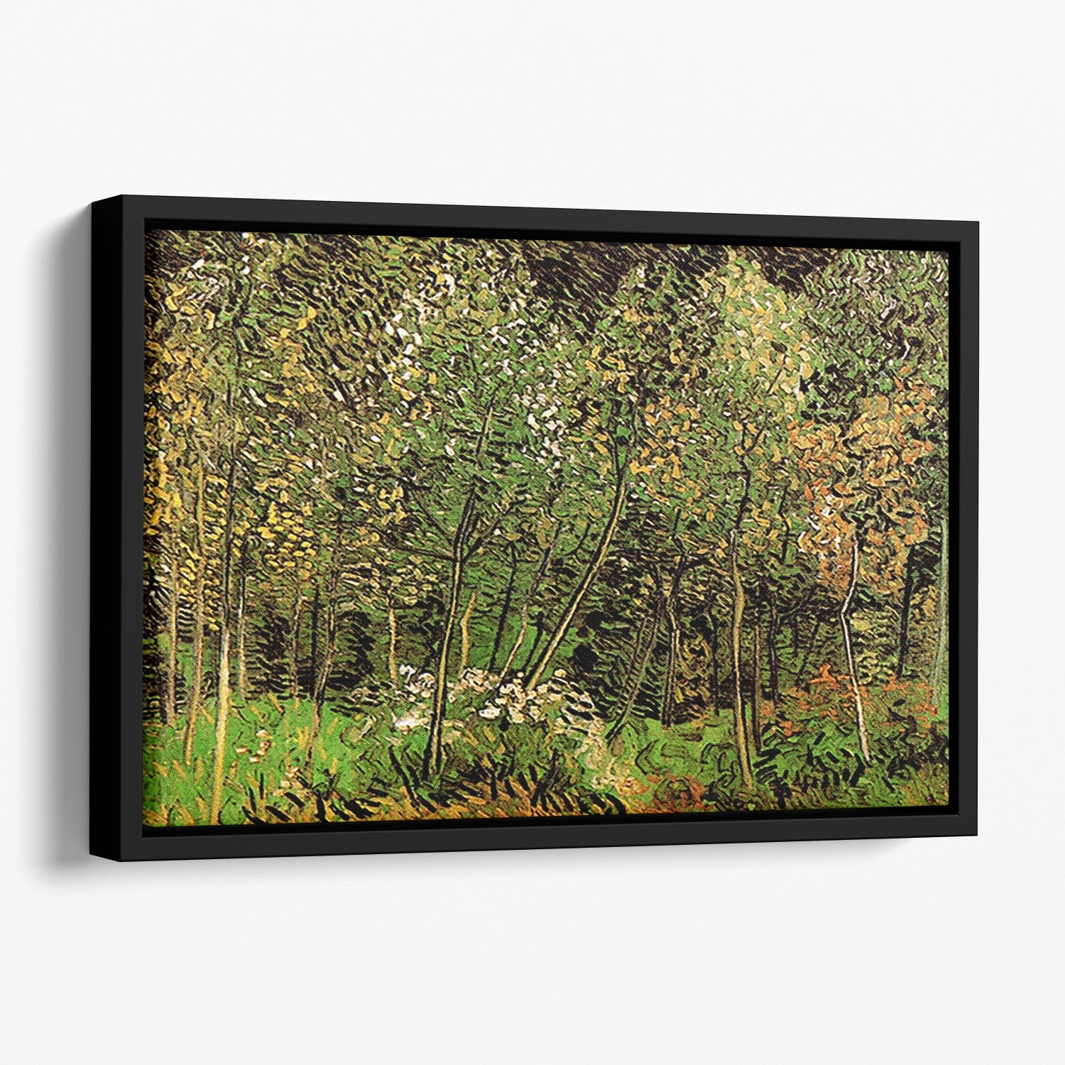 The Grove by Van Gogh Floating Framed Canvas