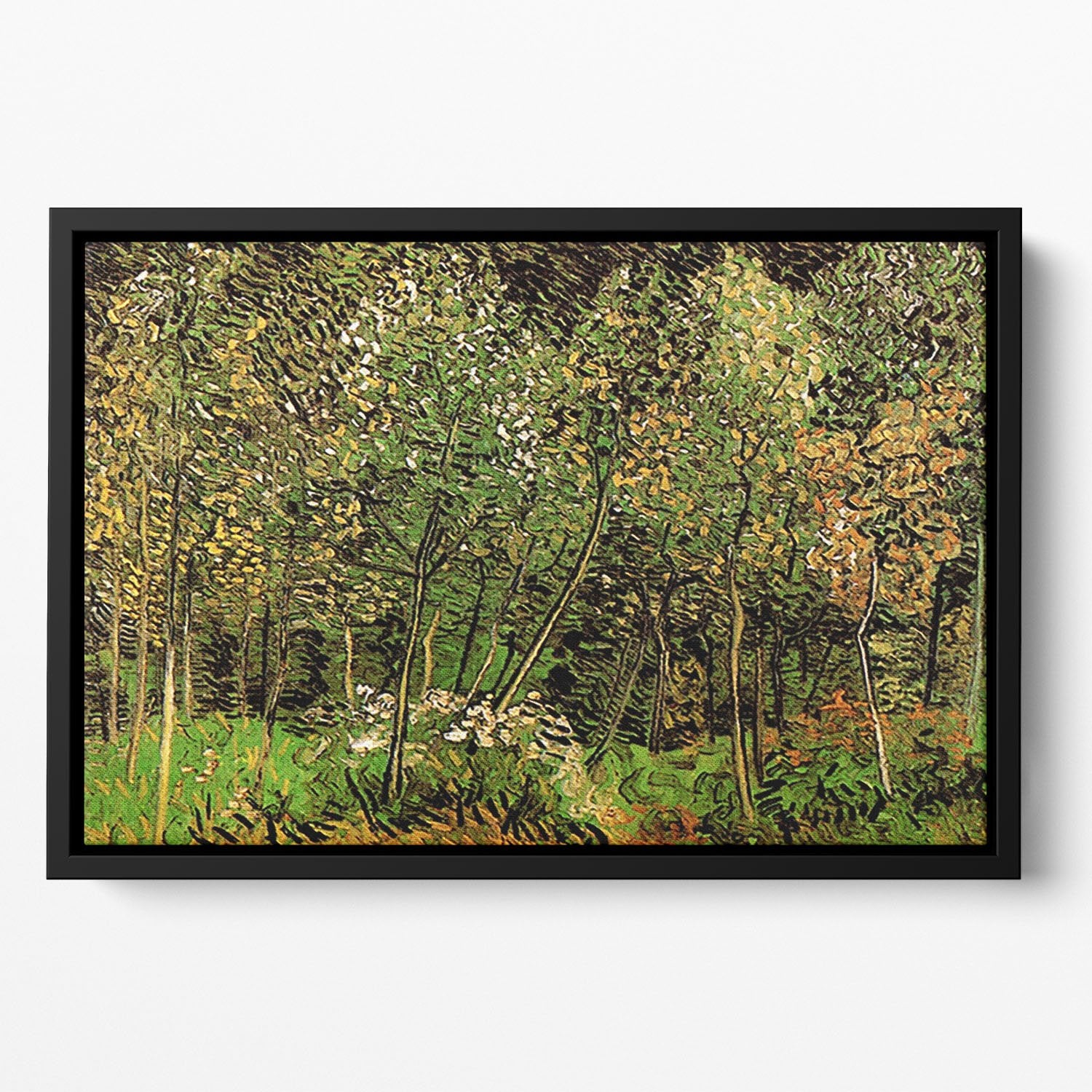 The Grove by Van Gogh Floating Framed Canvas